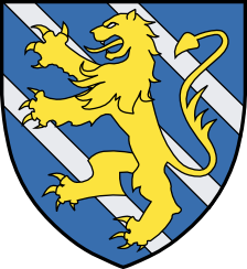 Bjälboättens lagmansgren